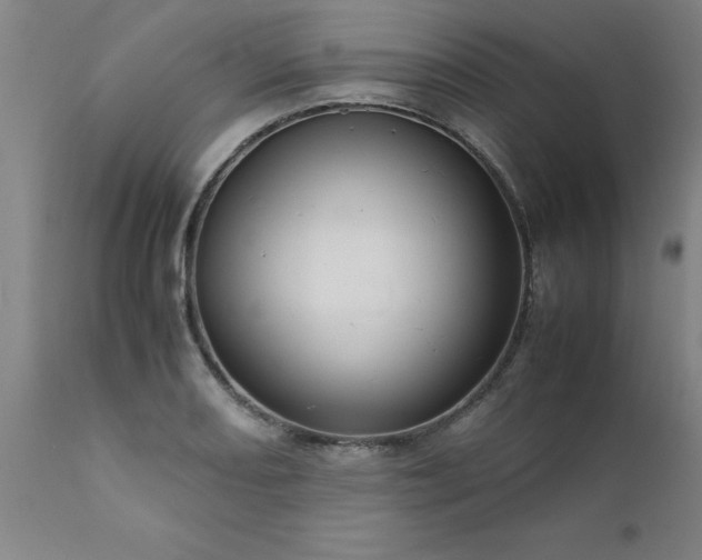 X0000111811082200907301227