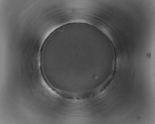 X0000111811084200907301227