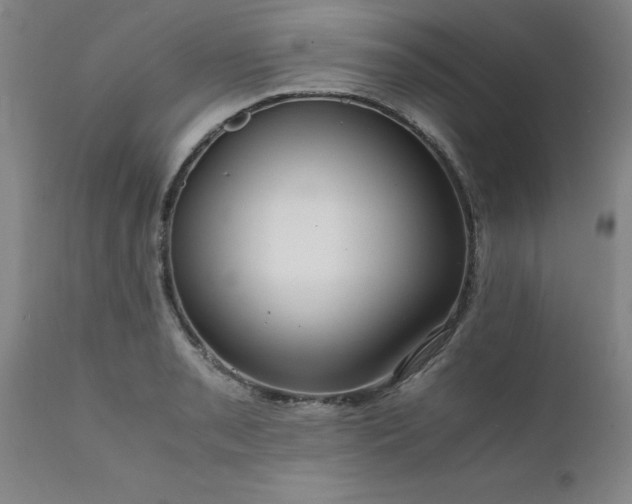 X0000111811085200907301227