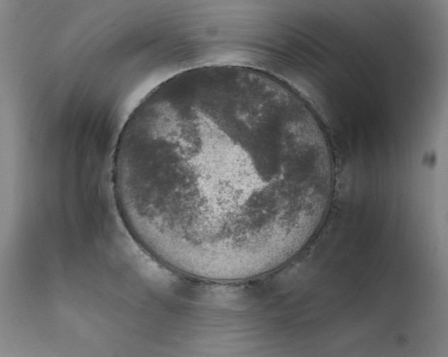 X0000111811086200907301227