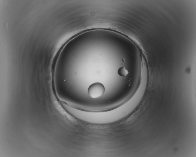 X0000111811088200907301227