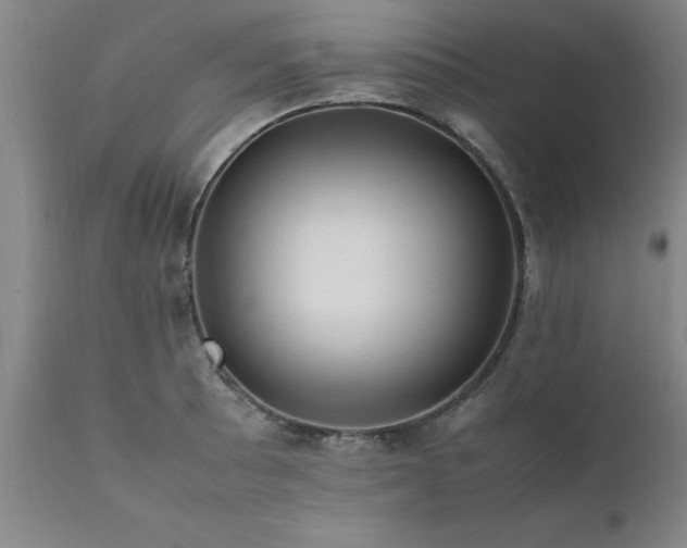 X0000111811089200907301227