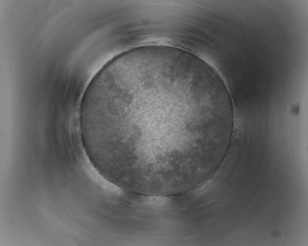 X0000111811090200907301227
