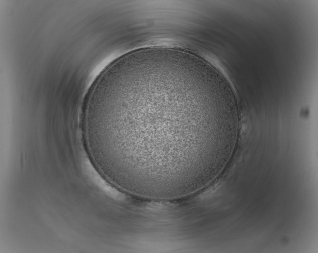 X0000111811091200907301227