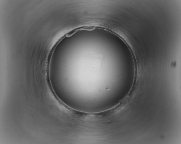 X0000111811093200907301227