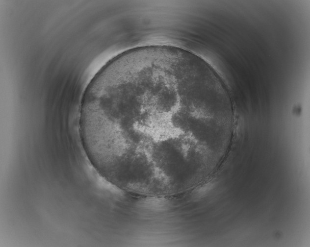 X0000111811094200907301227