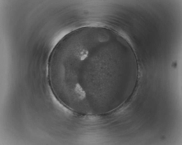X0000111811095200907301227
