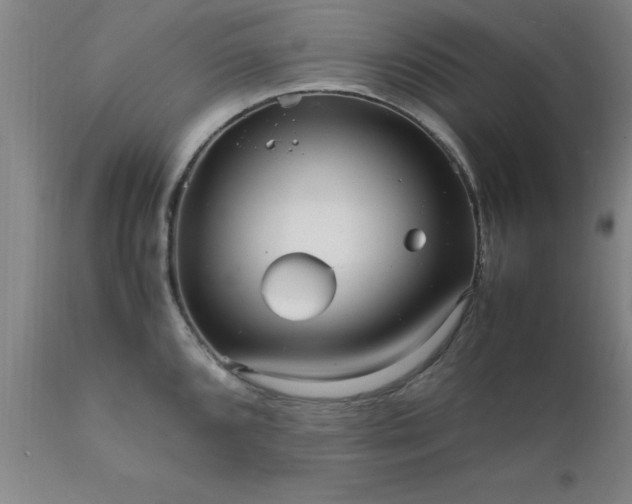 X0000111811096200907301227