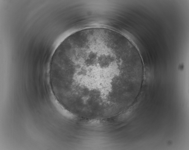 X0000111811098200907301227