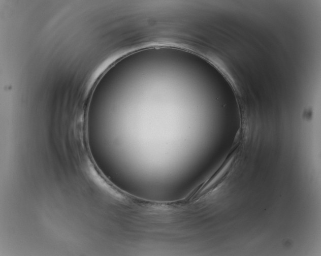 X0000111811100200907301227