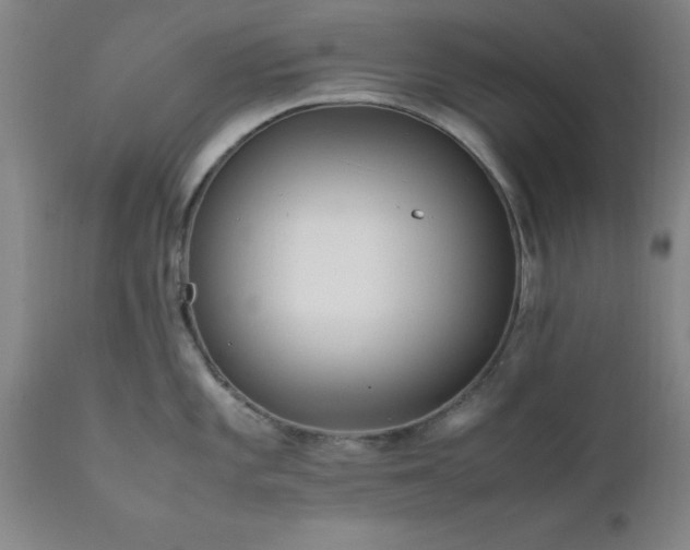 X0000111811101200907301227