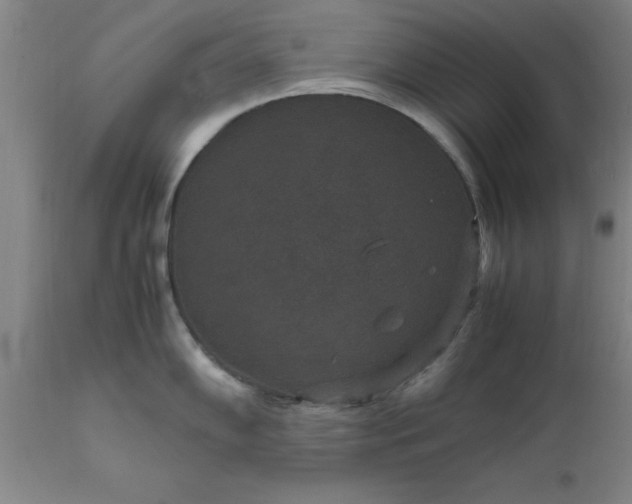 X0000111811102200907301227