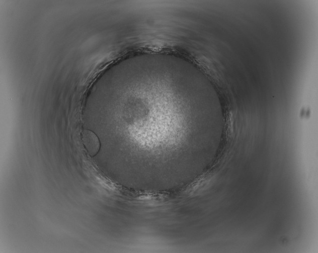 X0000111811105200907301226