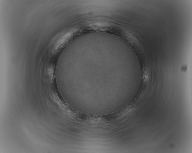 X0000111811108200907301226