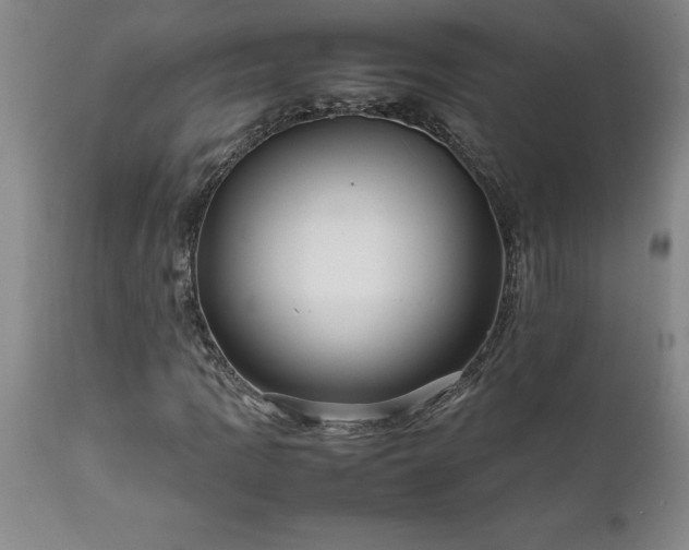 X0000111811109200907301226