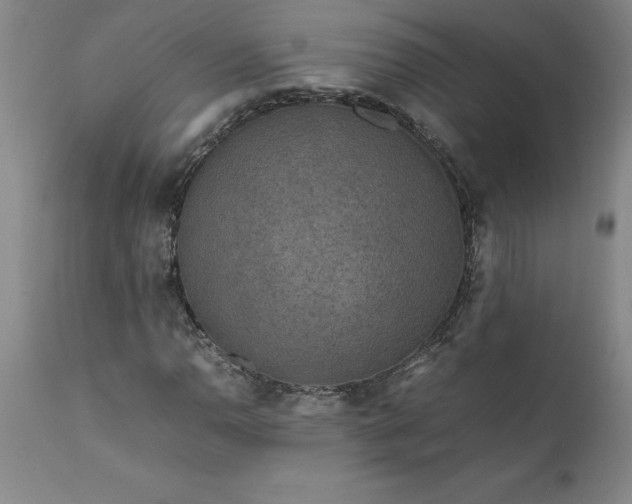 X0000111811110200907301226