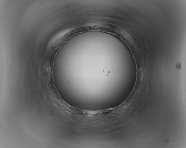 X0000111811111200907301226
