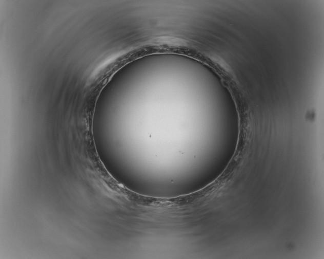 X0000111811112200907301226