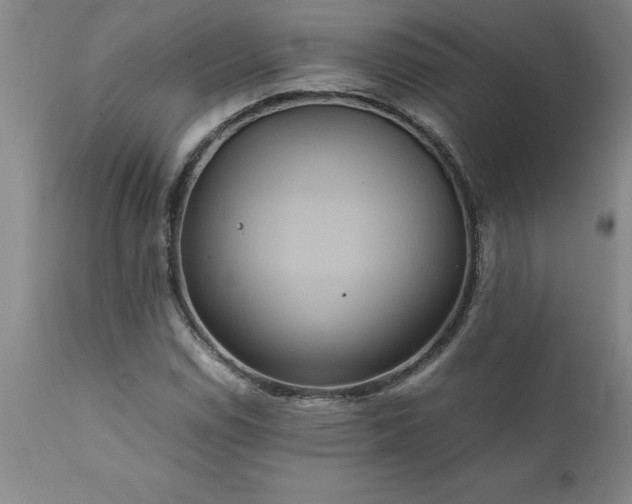 X0000111811114200907301226