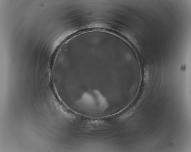 X0000111811117200907301226