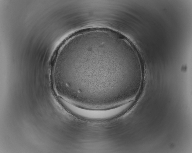 X0000111811118200907301226