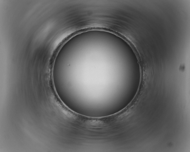 X0000111811119200907301226