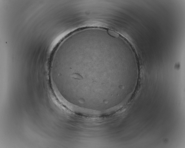 X0000111811120200907301226