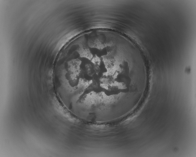X0000111811121200907301226