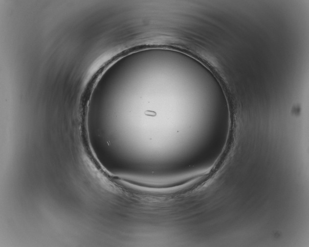 X0000111811122200907301227