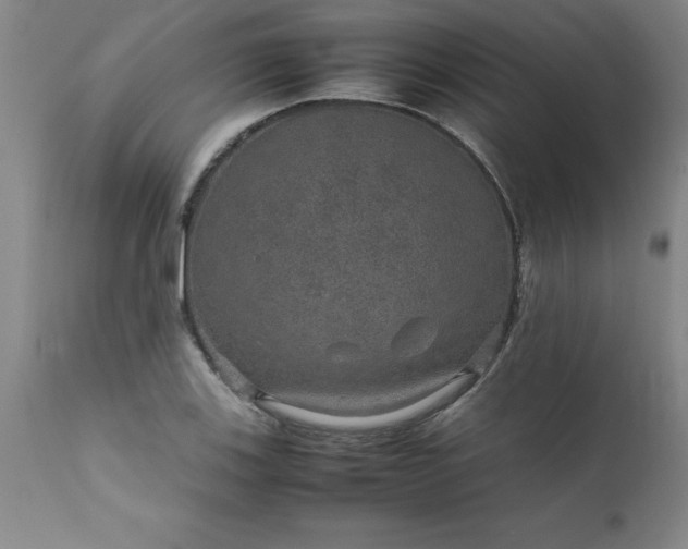 X0000111811123200907301227