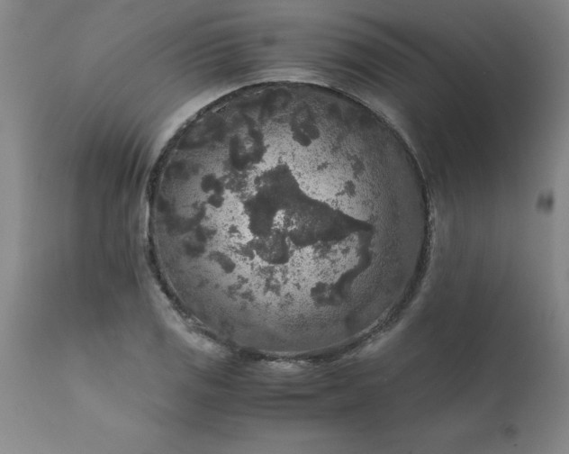 X0000111811125200907301227