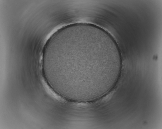 X0000111811126200907301227