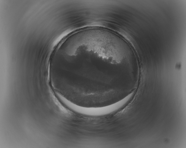 X0000111811127200907301227