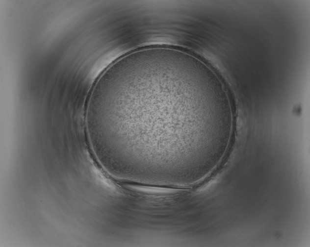 X0000111811129200907301227