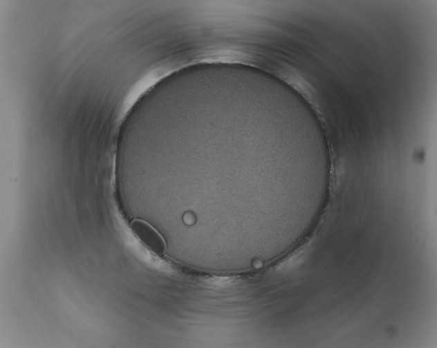 X0000111811130200907301227