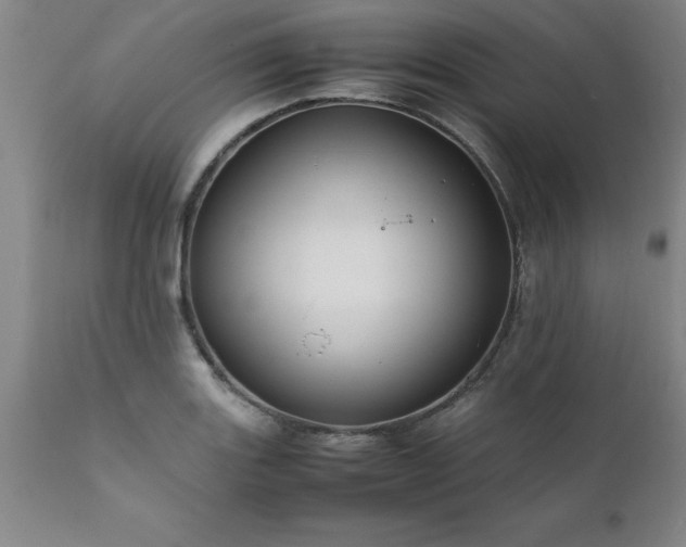 X0000111811131200907301227
