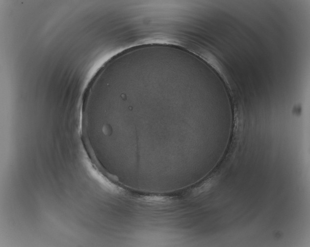 X0000111811132200907301227