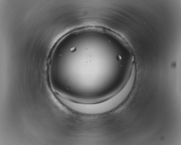 X0000111811134200907301227