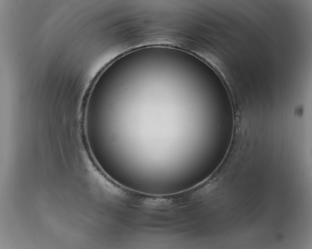 X0000111811135200907301227