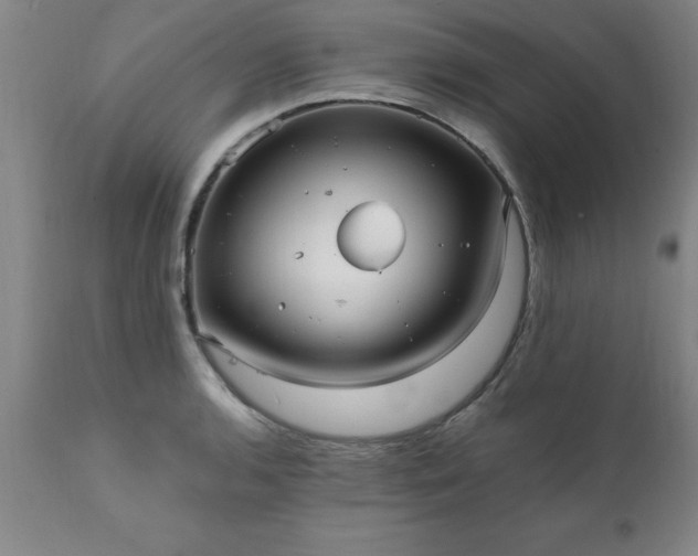 X0000111811136200907301227