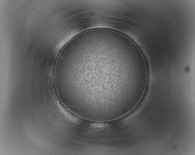 X0000111811137200907301227