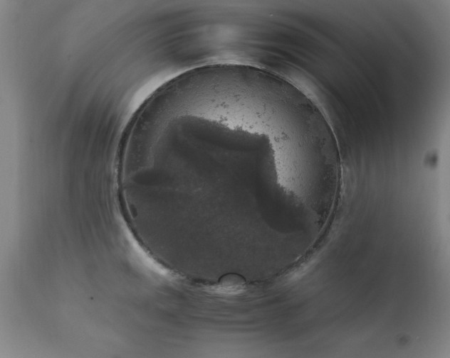 X0000111811141200907301227