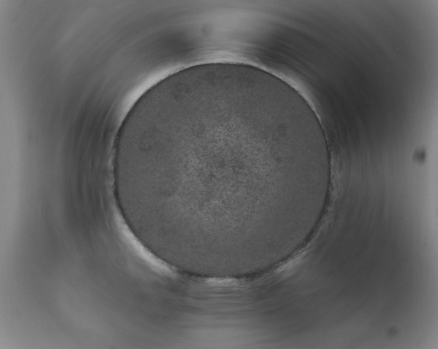 X0000111811142200907301227