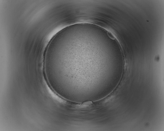 X0000111811143200907301227