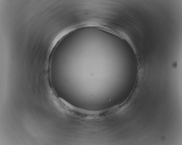X0000111811146200907301227