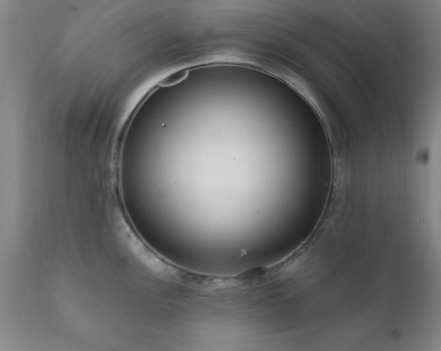 X0000111811148200907301227