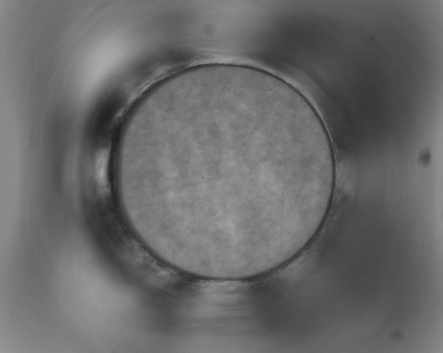 X0000111811150200907301227