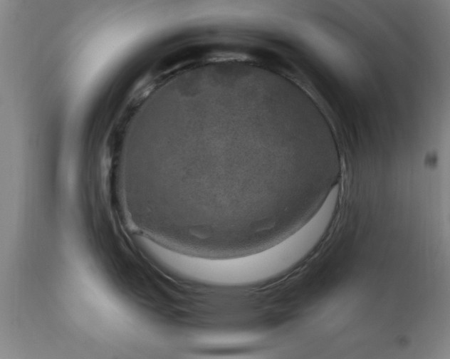 X0000111811151200907301227
