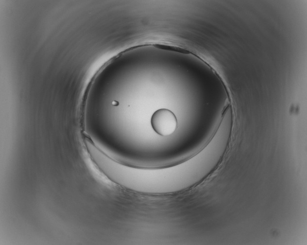 X0000111811152200907301227