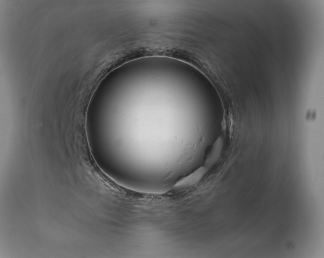 X0000111811153200907301226